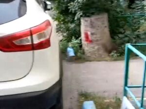 Что делать, если выход из подъезда заблокировал припаркованный автомобиль