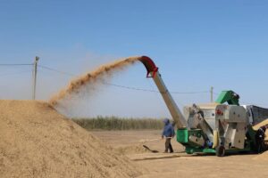 Астраханская область установит новый рекорд