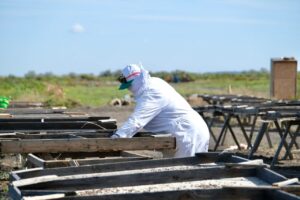 Зачем туристы со всей России съезжаются на небольшое астраханское предприятие
