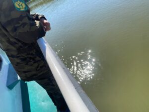 В Астрахани ищут тех, кто оставил на реке Кривая Болда огромное нефтяное пятно