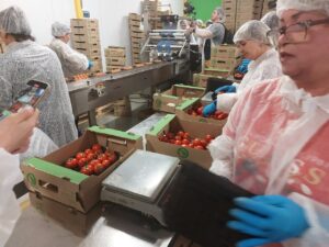 Названы самые востребованные профессии в Астраханской области и сколько там платят