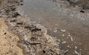 В Астраханской области сточные воды приняли за нефтепродукты