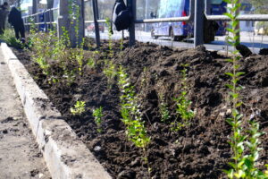 Одна из крупных улиц Астрахани преобразилась и стала красивее