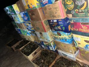 В Астрахани судьба дала ракам еще один шанс: счастливчики