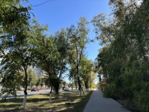 Глава Астрахани анонсировал большое благоустройство и озеленение улицы Боевой