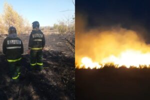 Астраханский школьник помогал тушить огромный лесной пожар