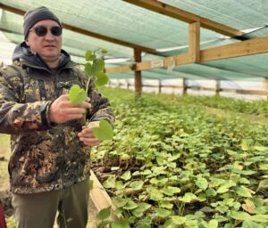 В одном из районов Астраханской области впервые вырастили полезный красный плод