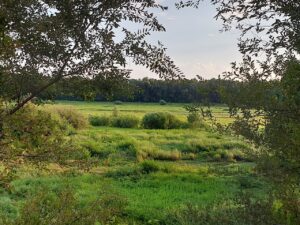 В Астраханской области за вами может наблюдать птица с поддельными ушами и огромными глазами