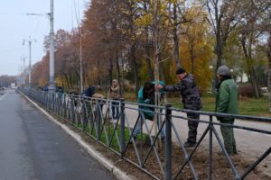 Что появилось на месте спиленных на площади Ленина в Астрахани аварийных деревьев