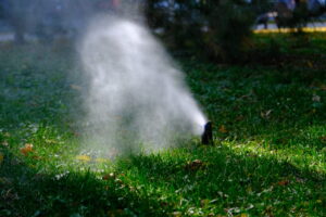 Как парки Астрахани готовят к зиме