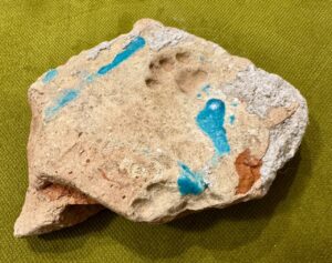 У него же лапки: в Астраханской области нашли очень древний милый след