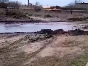 Астраханцы жалуются на слив канализационных отходов возле детского сада