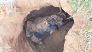 Сказочная история: в Астраханской области лошадь провалилась в старинную гробницу