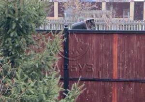 В Астрахани заметили первый снег в этом году