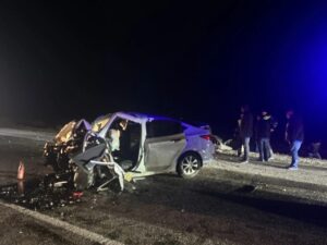 Под Астраханью вечерняя прогулка безнадзорной коровы привела к гибели водителя