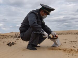 По вине собственника сельхозучасток под Астраханью превратился в кусочек пустыни