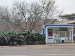 В Астрахани готовятся к открытию елочные базары