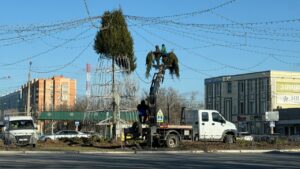 Новогоднюю елку начали собирать на Мостострое