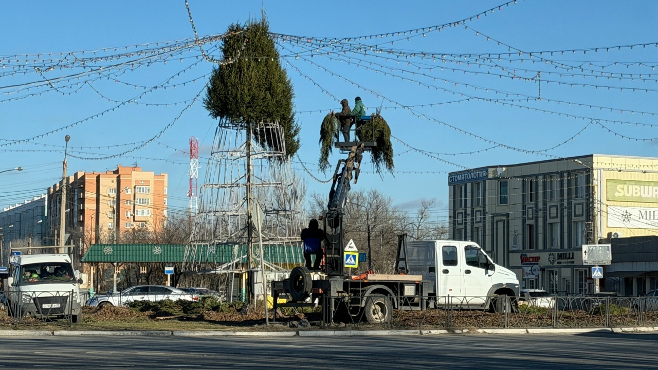 Новогоднюю елку начали собирать на Мостострое