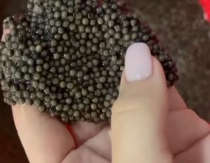 В Астраханской области один из самых дорогих деликатесов получали в сомнительных условиях