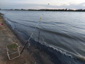 Какую рыбу и где ловят в Астраханской области