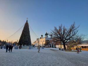 Очень необычные птицы, которые любят все яркое, поселились в самом центре Астрахани