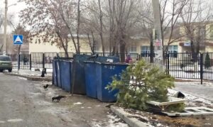 Куда выбрасывать елки в Астрахани в 2026 году