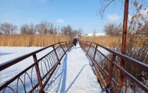 Мост через ерик Солянка в Астрахани стал опасен для пешеходов