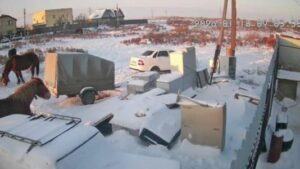 В Астрахани лошади повредили несколько машин, а потом стояли и долго ржали