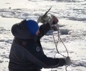 Вырвали из лап смерти и заставили бежать: в Астраханской области спасли редчайшее животное