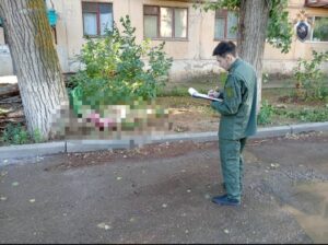 В Астраханской области упавшее дерево убило пенсионерку: кто за это пойдет под суд