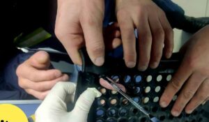 В Астрахани мальчик пошел углубленно изучать иностранный язык, но попал в историю