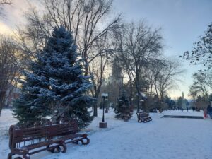 В Астрахань слетелись энергичные, красивые птицы-модники и наглые птицы-разбойницы