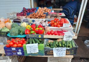 В Астрахани раскрыли главные тайны огурцов: что с ценой, будет ли дефицит и когда пойдут местные