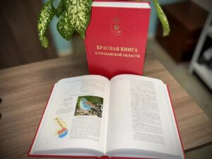 Из красной книги Астраханской области исключили 41 вид