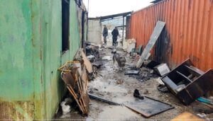 Под Астраханью в приюте для животных произошел пожар, сгорели несколько собак