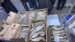 На рынке в Астрахани изъяли рыбу, которую нельзя было продавать