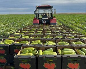 Какую реальную помощь оказывают фермерам в Астраханской области и как ее увеличат