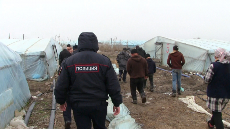 В астраханском тепличном комплексе нашли 13 нелегальных мигрантов