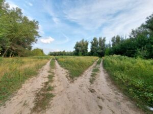 В Астраханской области где-то ползает редкая змея, ее встречали всего раз