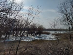 В Астраханской области обещают заморозки