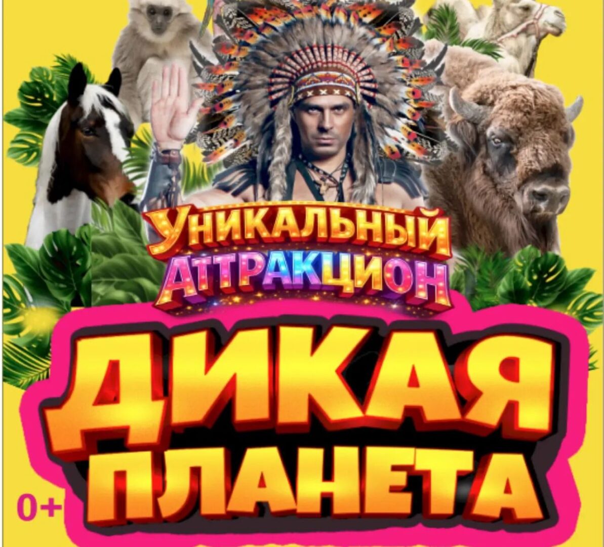 Премьера уникальной программы «Дикая планета» в Астраханском государственном цирке