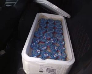 В Астраханской области в машине нашли 15 килограммов редкого деликатеса