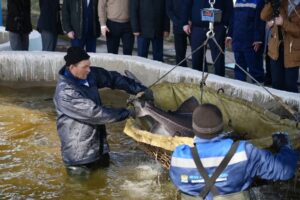 В Астраханской области построят новый комплекс для выращивания рыбы