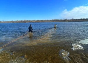 Из реки в Астраханской области вытащили утонувший автомобиль, он просто стоял на дне
