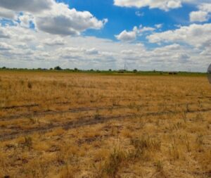 В Астраханской области ищут инвесторов для строительства заводов по переработке мусора