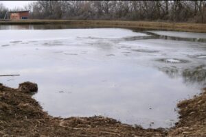 Под Астраханью рыбное предприятие собирается расширяться, там будут разводить редких рыб