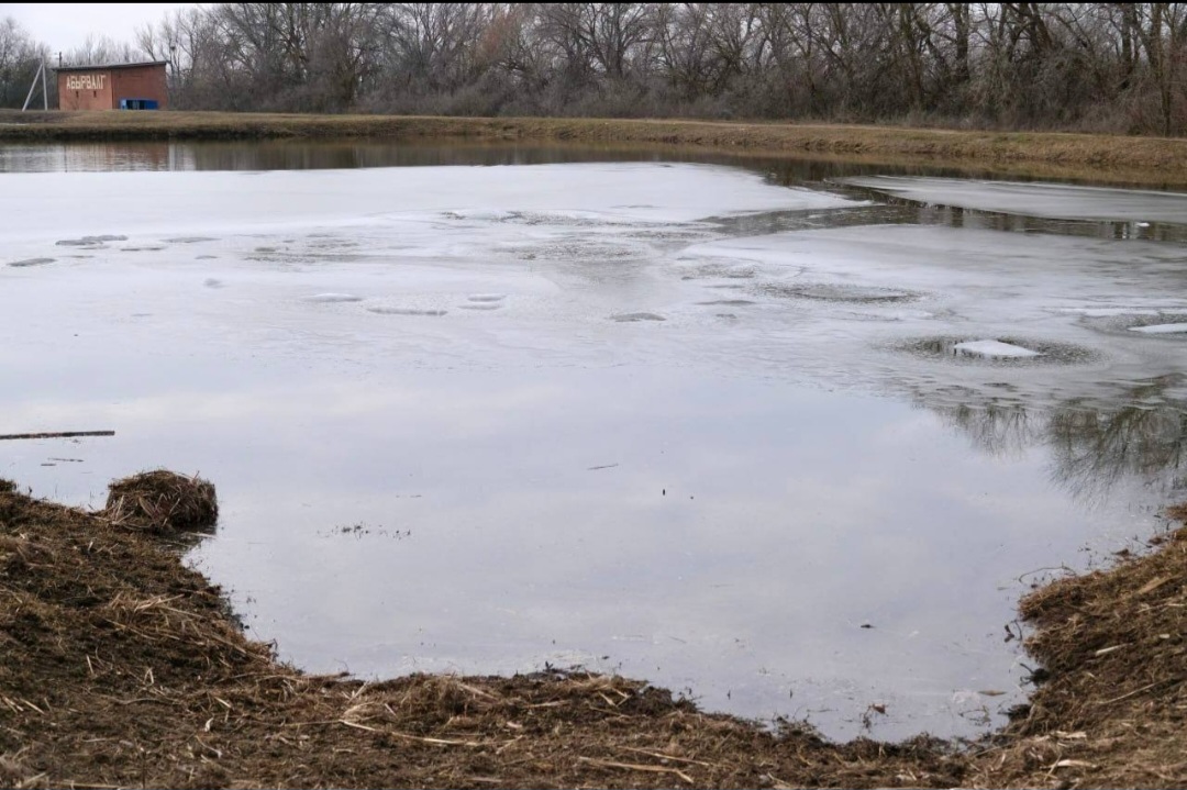 Под Астраханью рыбное предприятие собирается расширяться, там будут разводить редких рыб