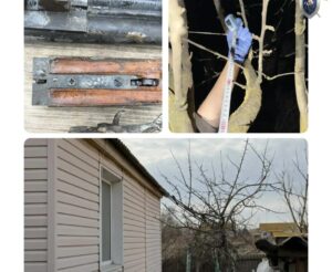 Под Астраханью раскрыли убийство с очень неожиданным мотивом