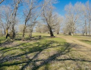 Под Астраханью жителей села лишили дороги, проезд перекрыли даже скорой и пожарной
